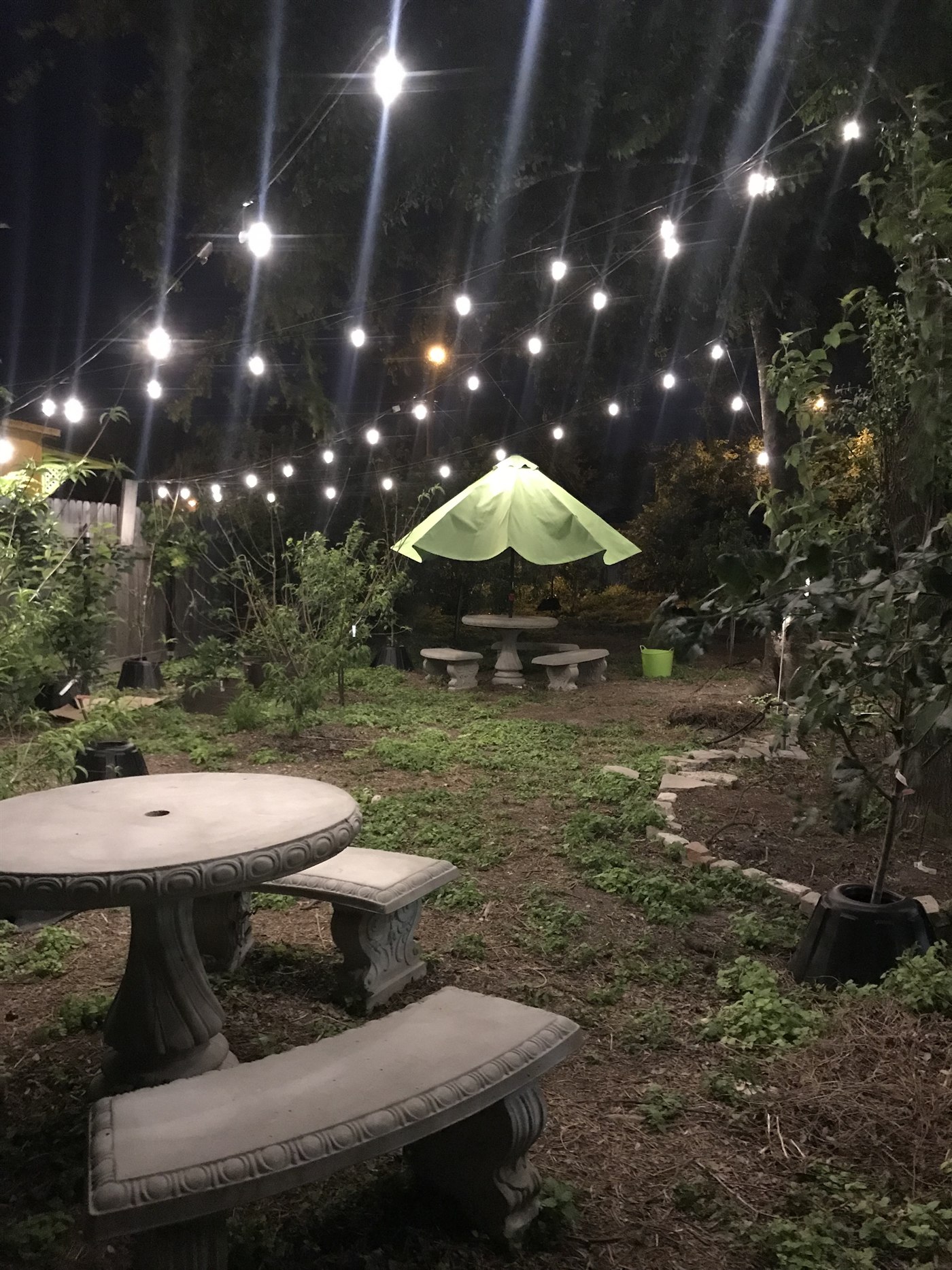 Tables and string lights in the Food Forest at night